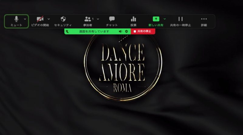 Zoom ビデオ共有画面